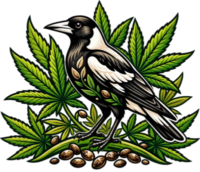 Marijuana Magpie Logo
